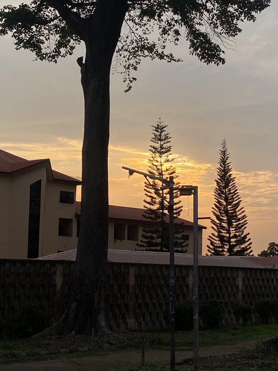 It’s spring here in Ibadan too.
P.S: I love spring so much, but I hate how autumn steals the beautiful colours of the flowers.