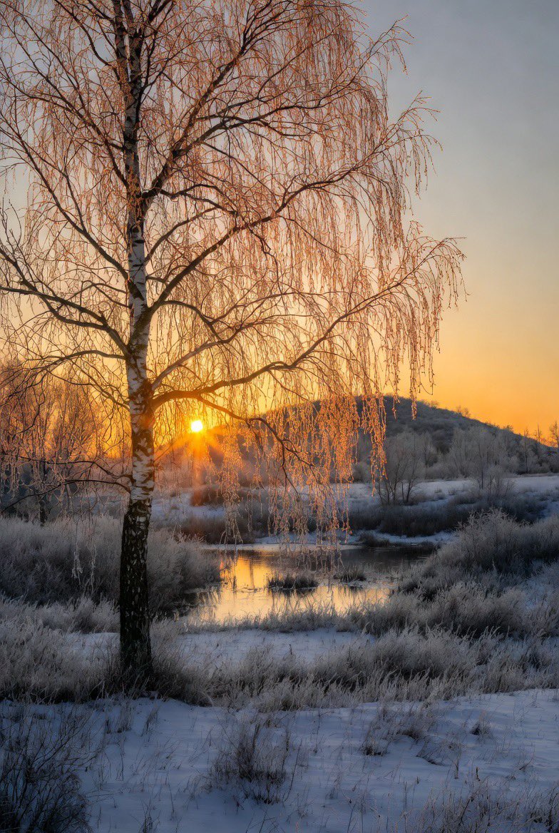 Start each morning with positivity, then carry it with you throughout your day.

Happy Sunday.