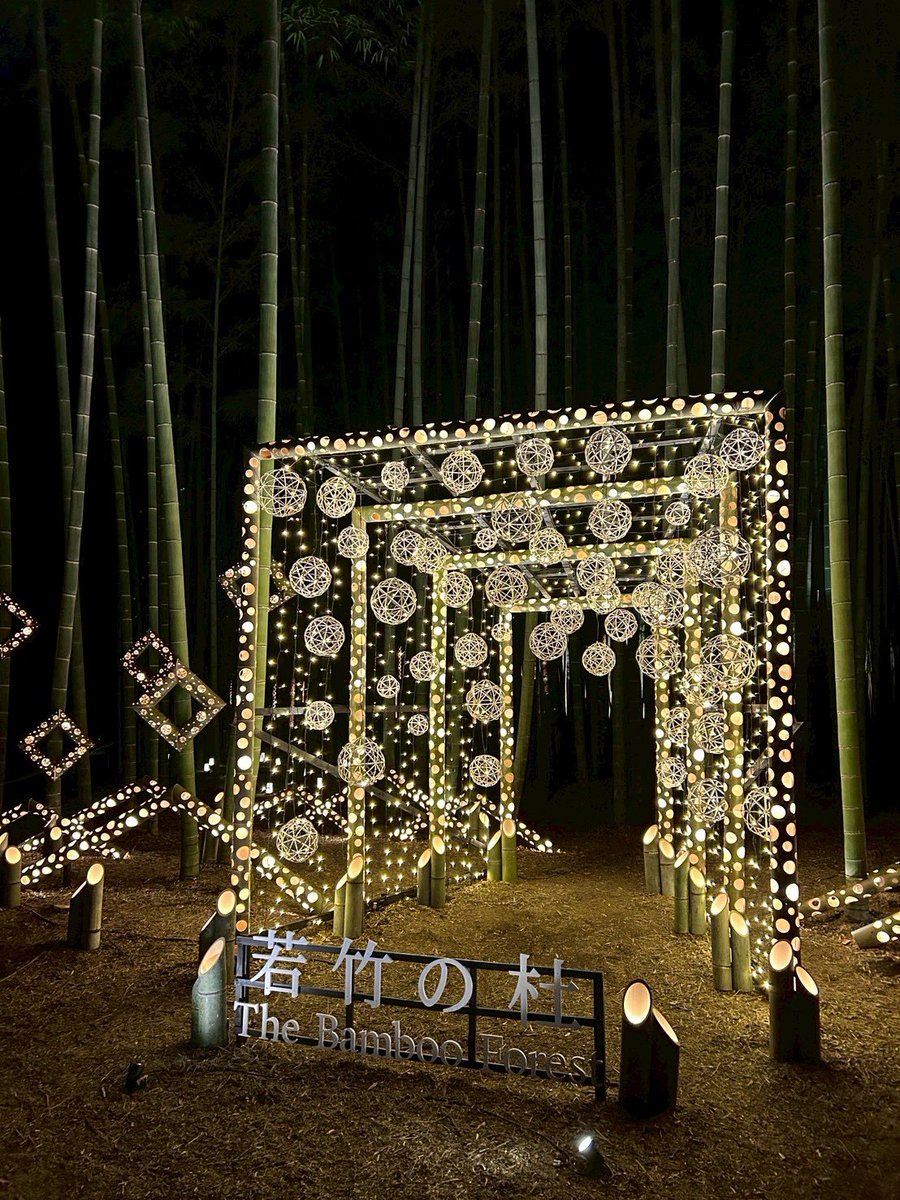 最近栃木観光にどハマりしてるんだけど、
知れば知るほど栃木ってめちゃ最高では！
最近行った場所だと若竹農園も凄く綺麗だった〜！！！

規模とクオリティが凄い！

#栃木はいいぞ