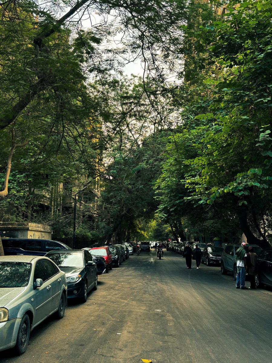 mzaehm_'s tweet image. «من لا يُحرِكهُ الجمّال كيفَ يعيش» :) 
Streets of Zamalek, Cairo.