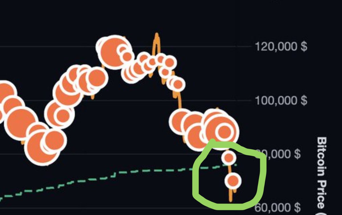 SolHodl tweet media