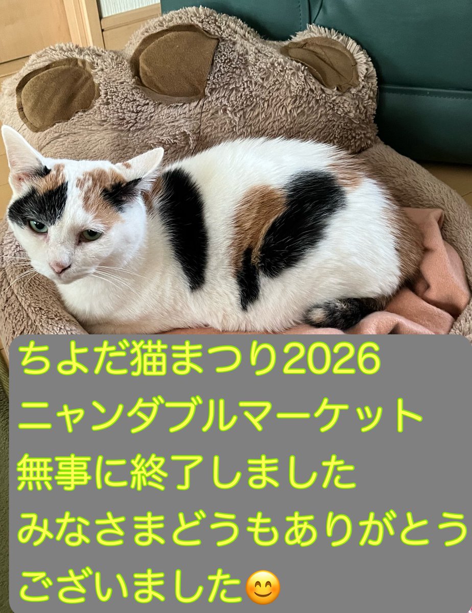 「ちよだ猫まつり2026」
2日間ありがとうございました🐱✨

k-ohanaにお立ち寄りくださった皆さま、
本当に感謝の気持ちでいっぱいです🐾

またお会いできますように！
今後ともよろしくお願いいたします✨

#ちよだ猫まつり2026 #ニャンダフルマーケット
#保護猫 #猫カゴ #Tシャツヤーン