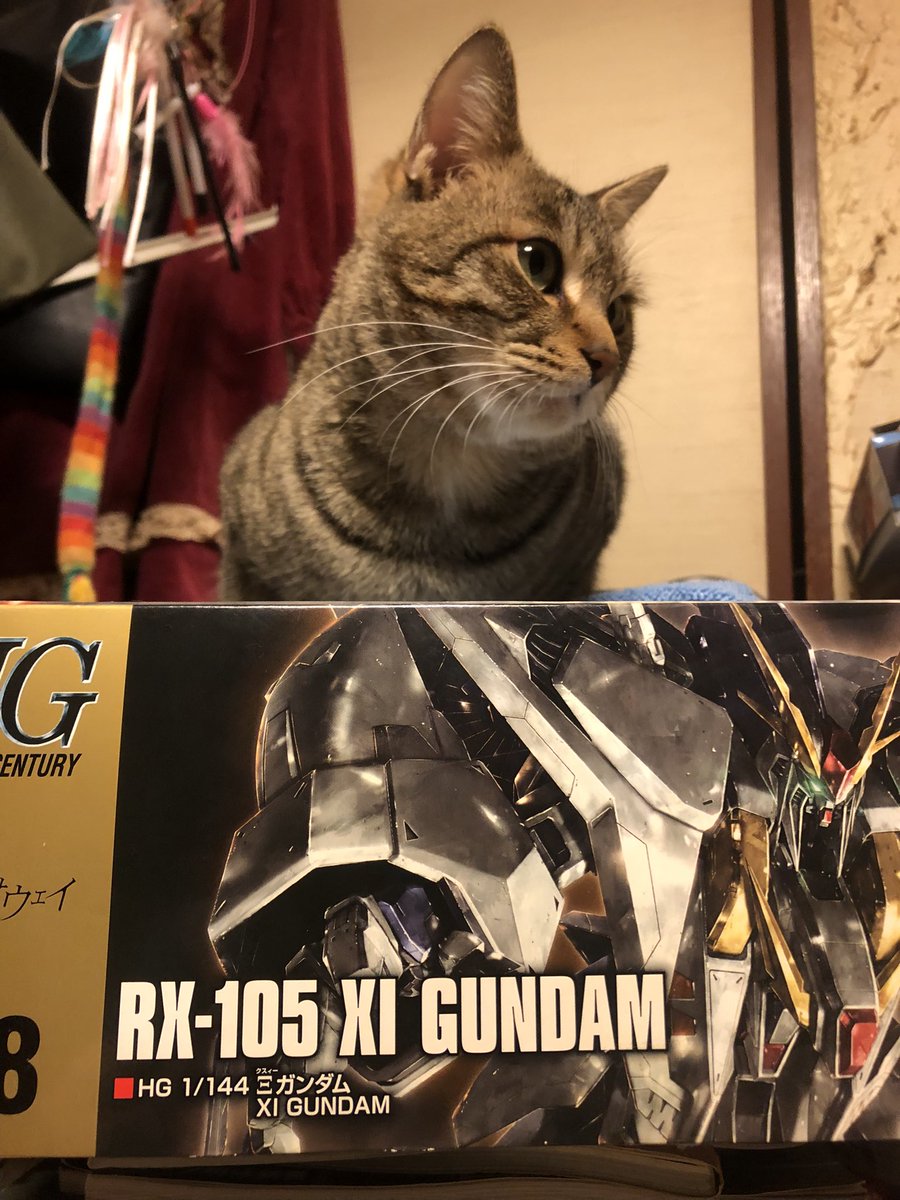 首振りおちびちゃん。