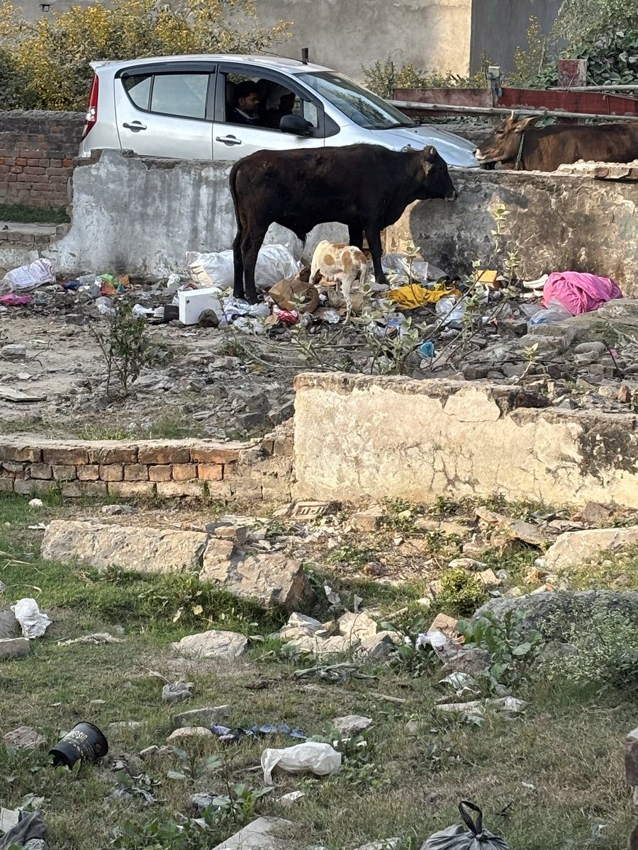 काशी में एक तरफ़ श्रद्धालुओं की भीड़ वही मार झेलती सफ़ाई । उदाहरण-महामनापूरी ITI रोड bhu plot 47 की स्वच्छता?  <a href="/CMOfficeUP/">CM Office, GoUP</a> <a href="/myogiadityanath/">Yogi Adityanath</a> <a href="/narendramodi/">Narendra Modi</a> <a href="/PMOIndia/">PMO India</a>
