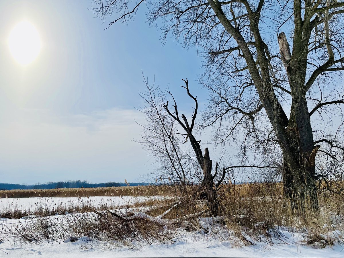 Find small loveliness—
An era built on excess
Can’t crush what it mocks