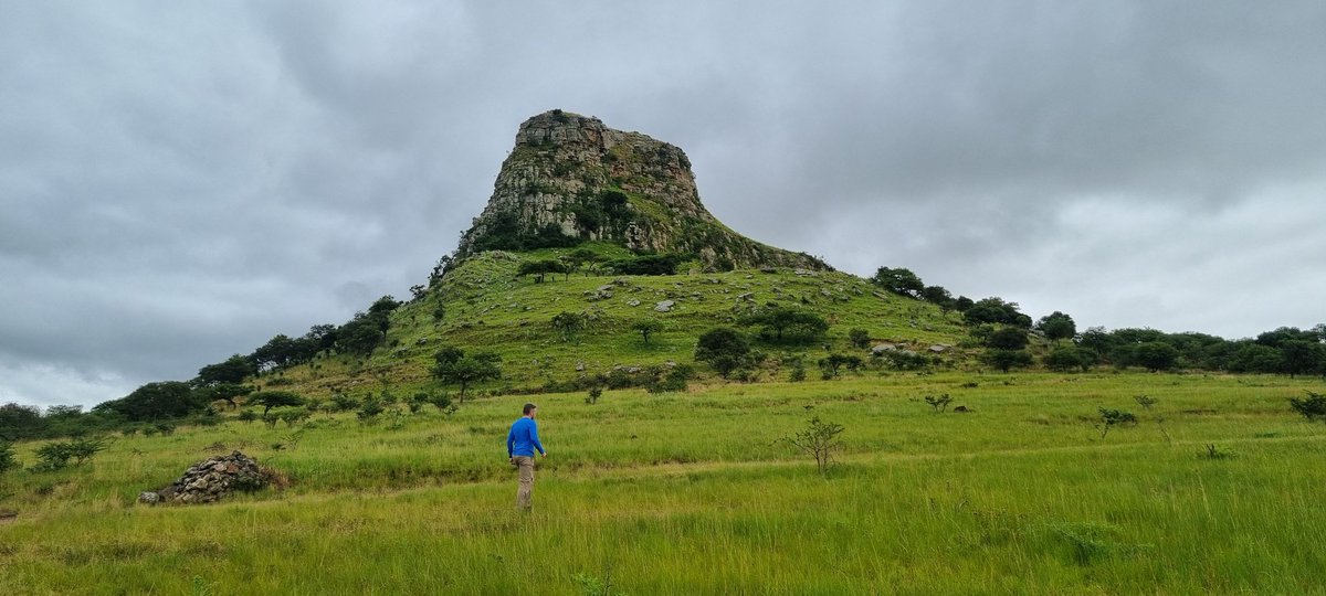 Timothy Will tweet media