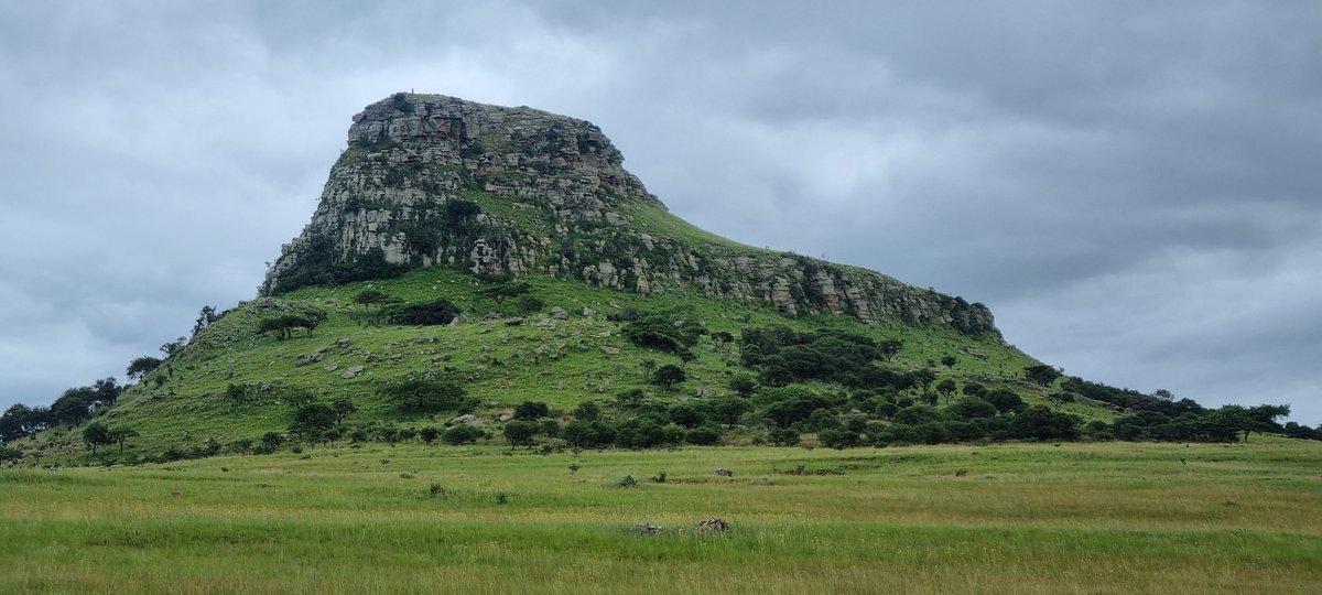 Timothy Will tweet media