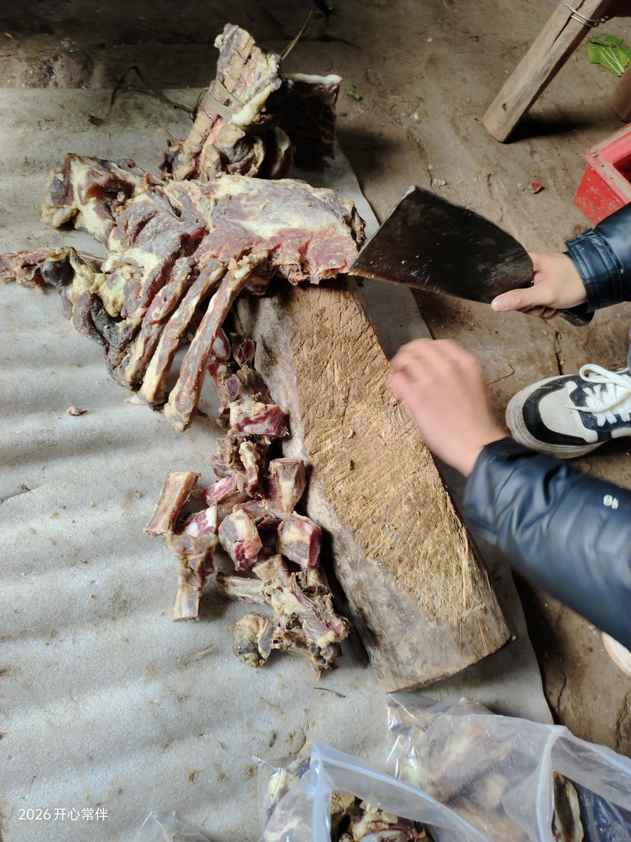 啊九有只大金毛🐯~🐬TermMax tweet media