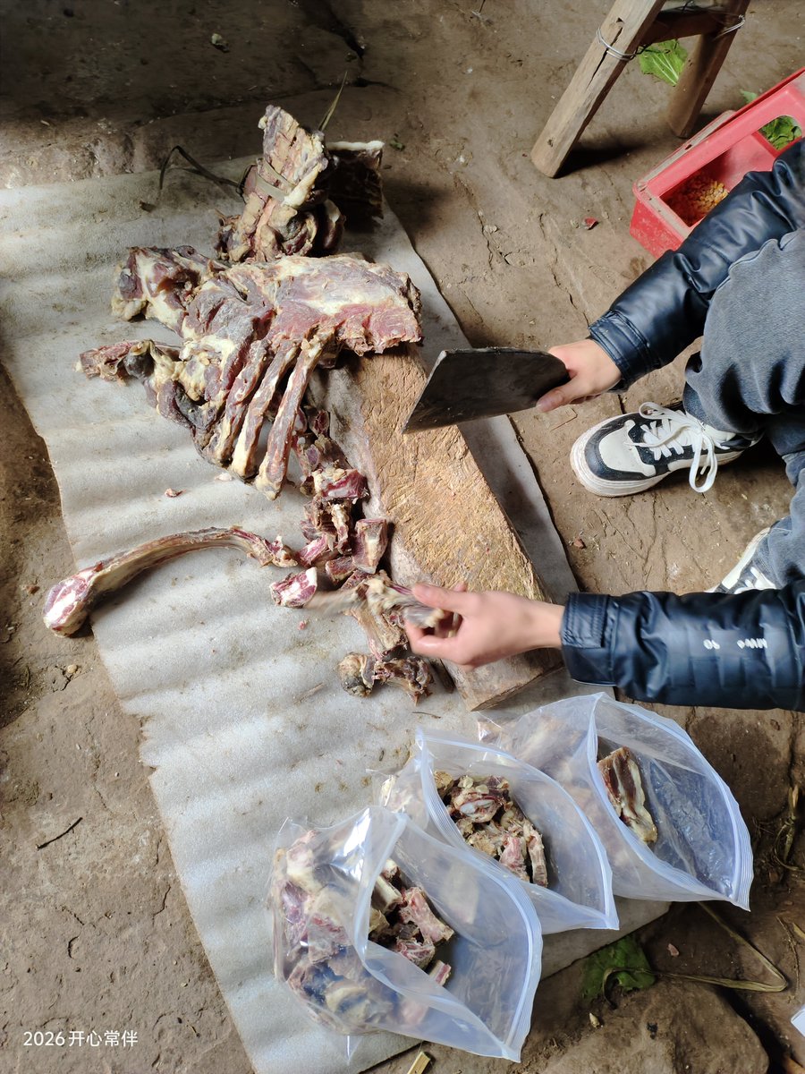 啊九有只大金毛🐯~🐬TermMax tweet media