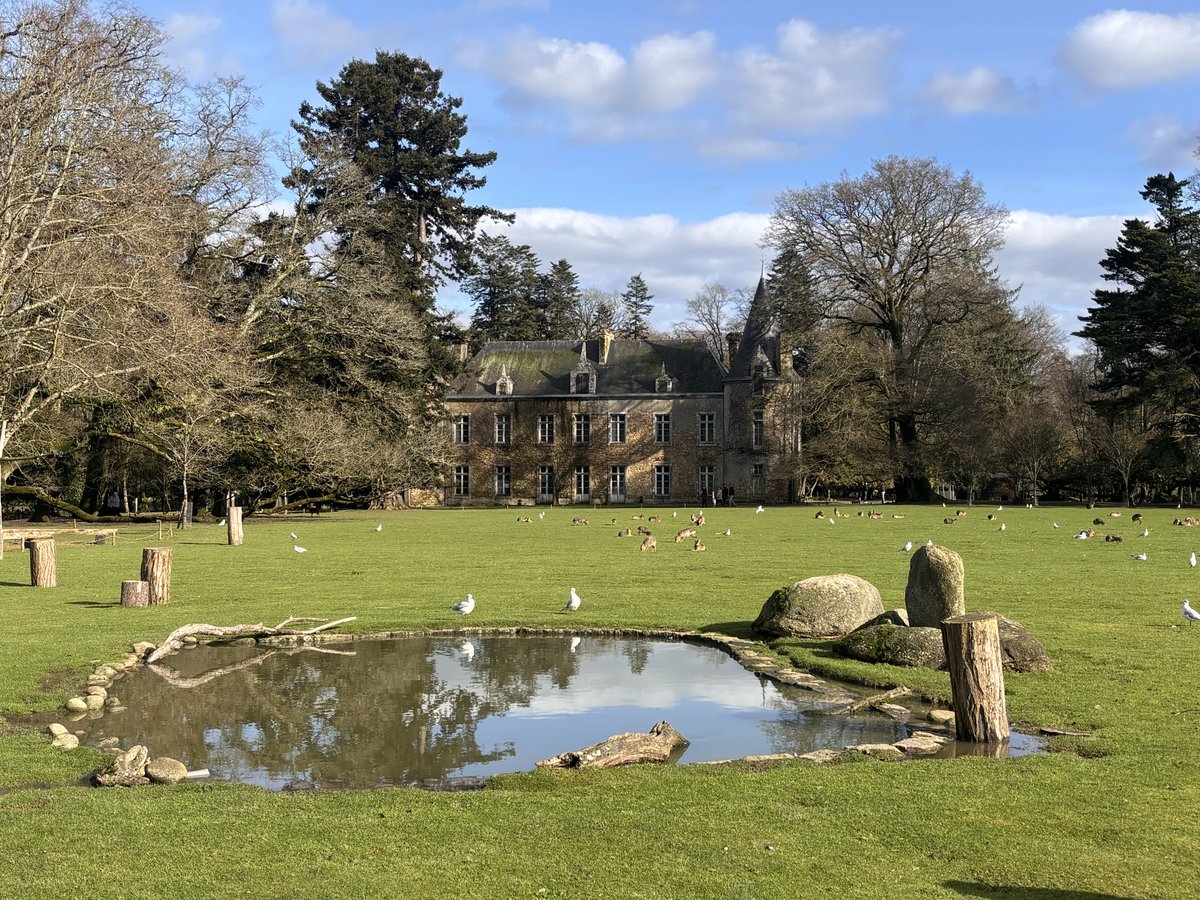 Sala Melanie 🐰 tweet media