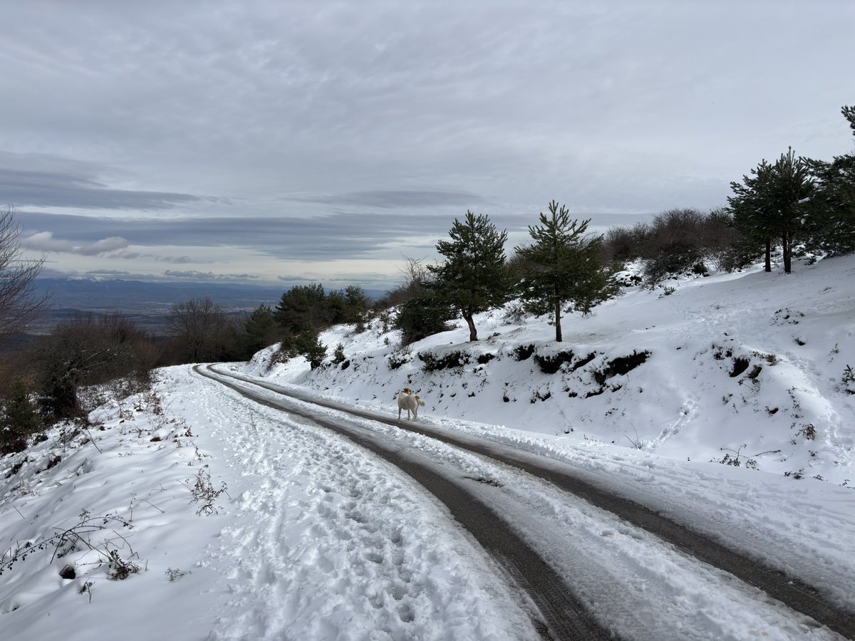 ⚡️Jaime Domenech Ceca ⚡️ tweet media