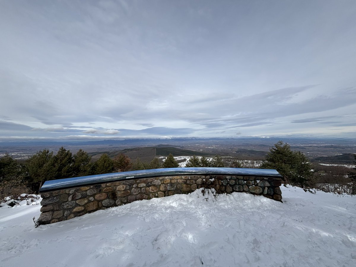 ⚡️Jaime Domenech Ceca ⚡️ tweet media