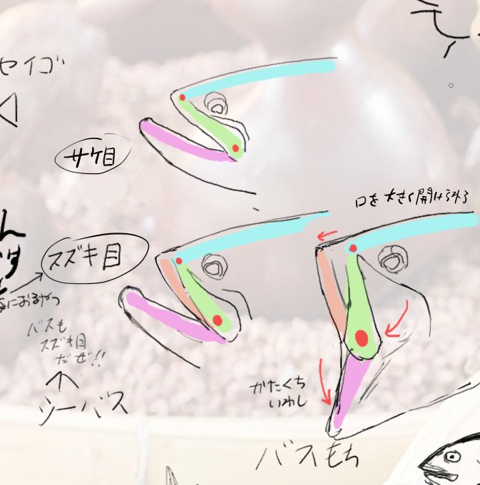 今日気づいたこと 