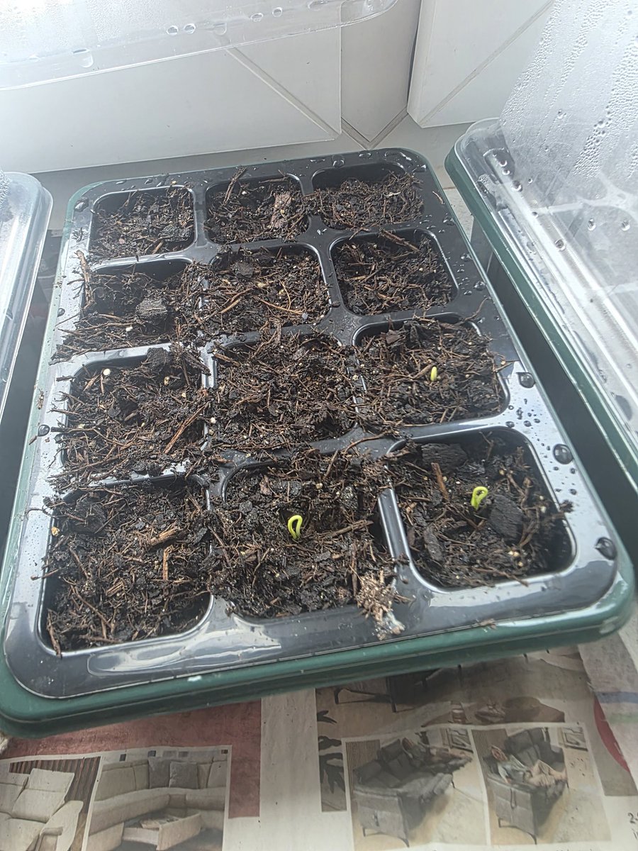 HardwareRat tweet media