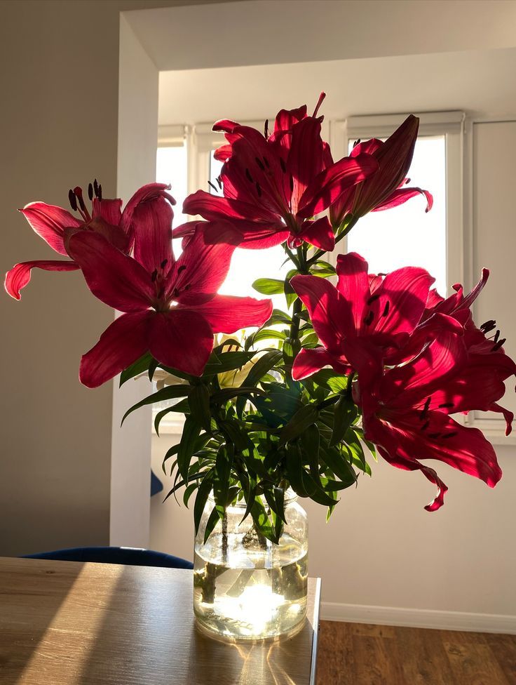 Flowers (@flowers489) on Twitter photo 