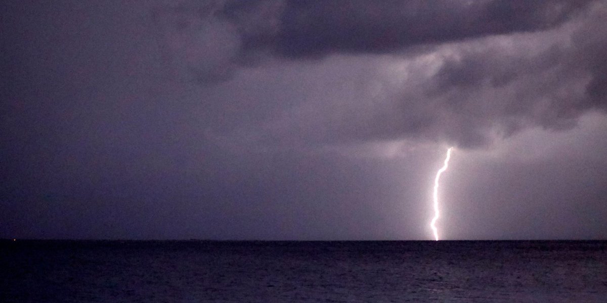 Nonpapers tweet media