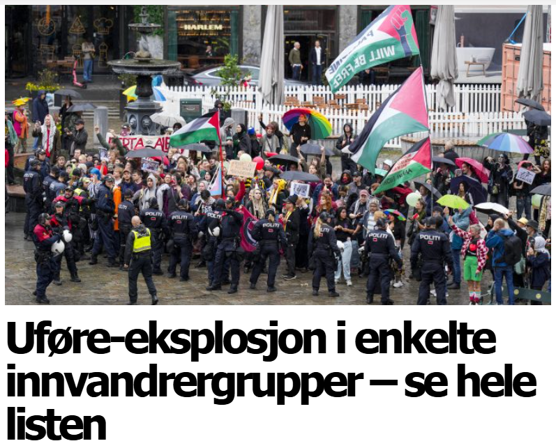 Benjamin Bringsås tweet media