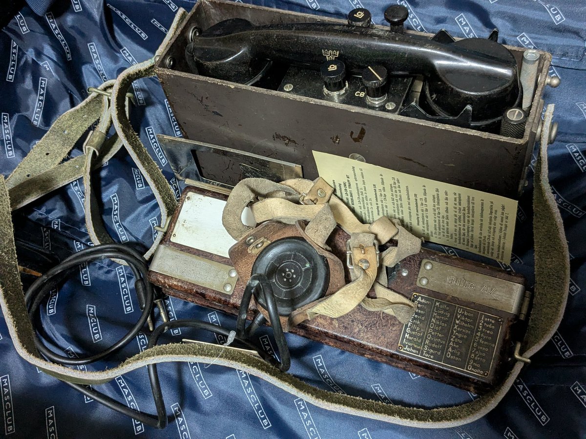 なにこの、なに……？