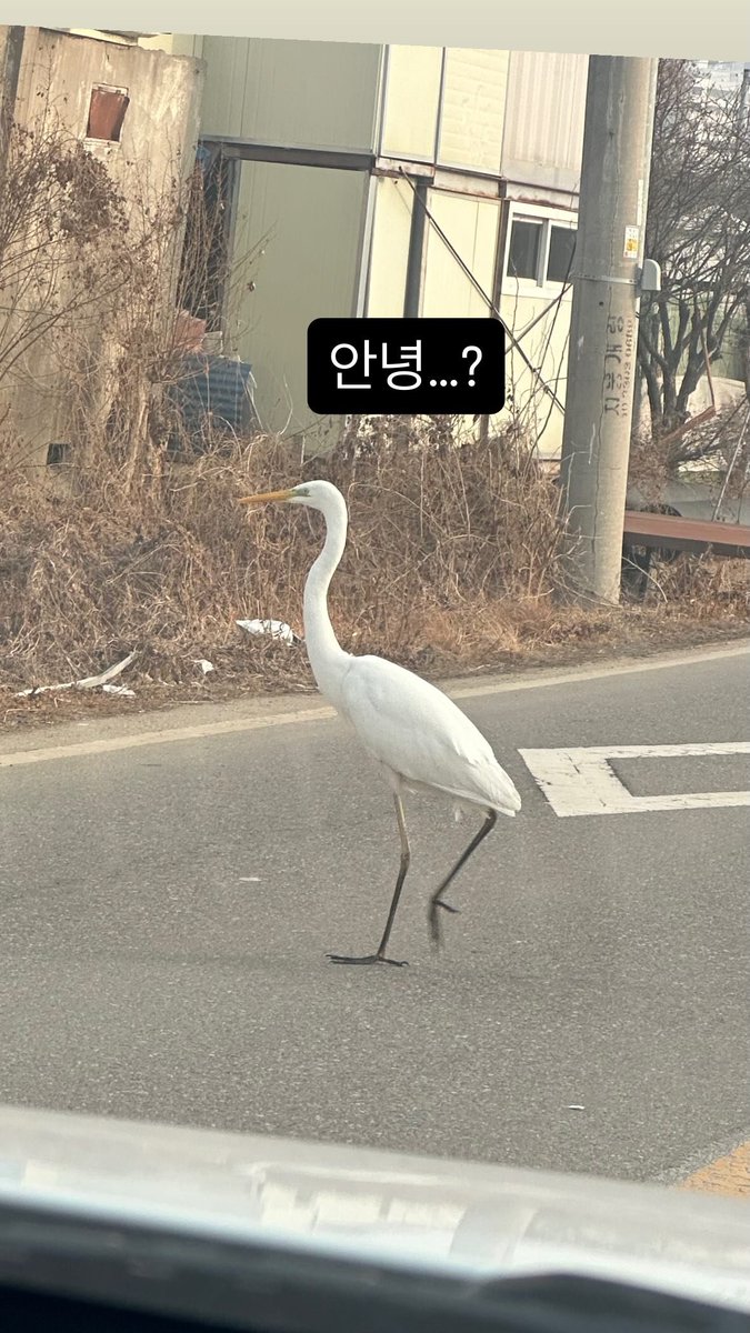 GFEntGlobal's tweet image. THE KINGDOM • 260215

💬 IVAN: Hi..?

#IVAN #아이반 #TKD
#TheKingDom #더킹덤