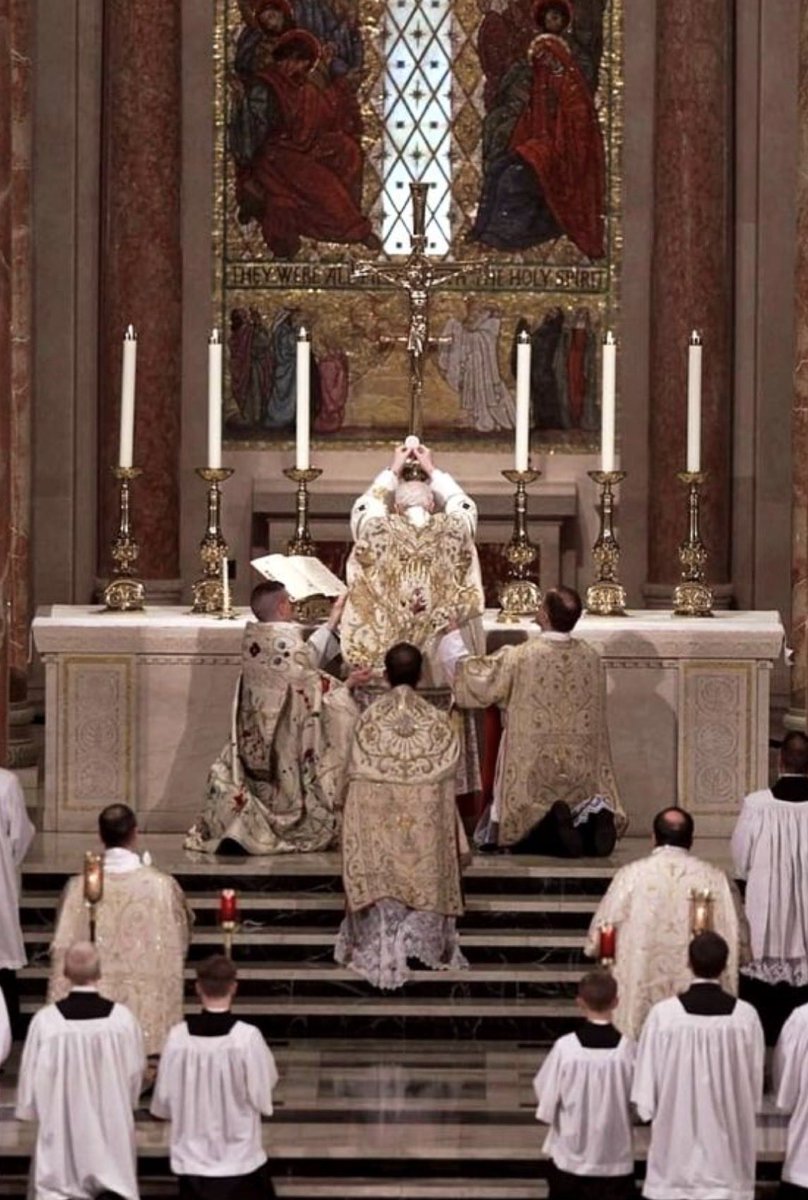 The Credo Project tweet media