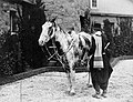 Jas_Lako's tweet photo. @hernan_migoni @hispanicnomad Todas fotos del siglo 20, algo imposible según tu definición sacada del culo.
La cultura Gaucha se mantiene en el interior y muchos laburantes en el campo y gente de pueblo siguen siendo gauchos, pero si pretendes que vivan como hace 100 años, claramente así no va a funcionar. https://t.co/RDOhLV2mYB