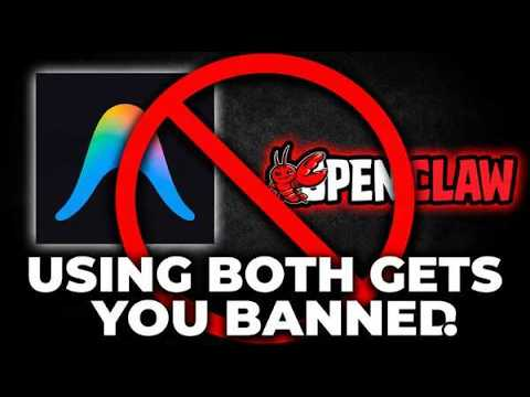 SOFTREVIEWED tweet media