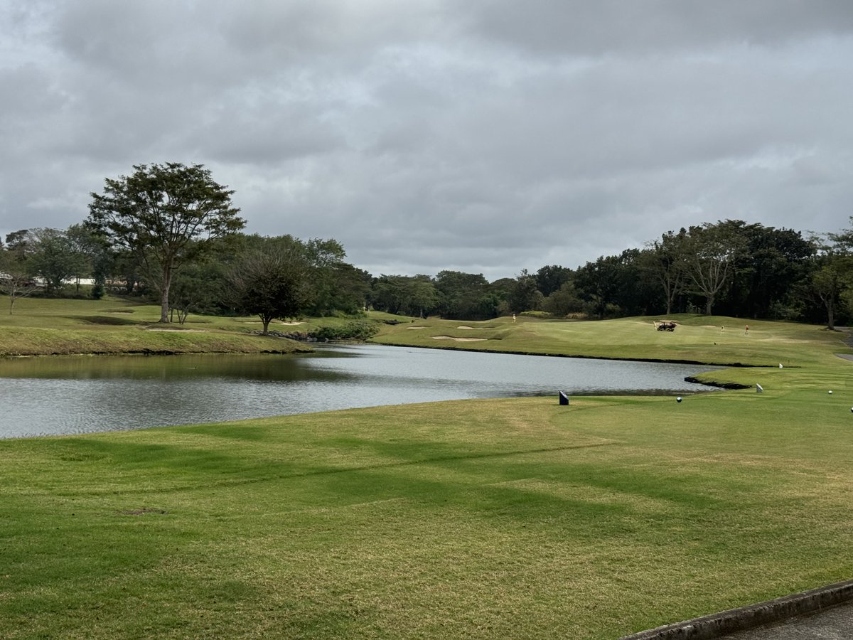 Rex Tattersall tweet media