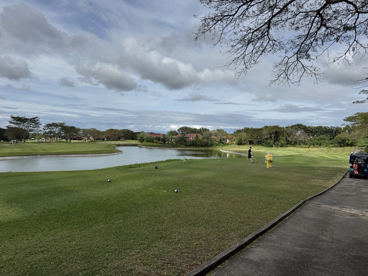 Rex Tattersall tweet media