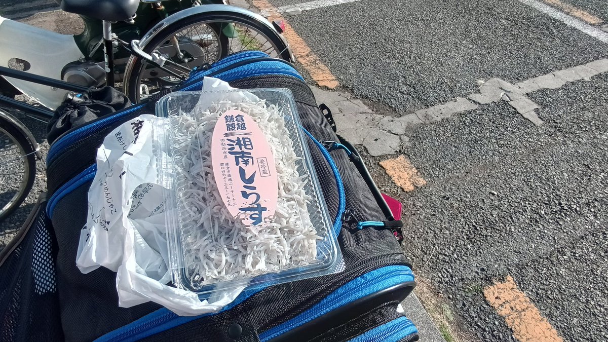 明日はチーコの命日だから大好きだった腰越の釜揚シラスを買いに🏍💨