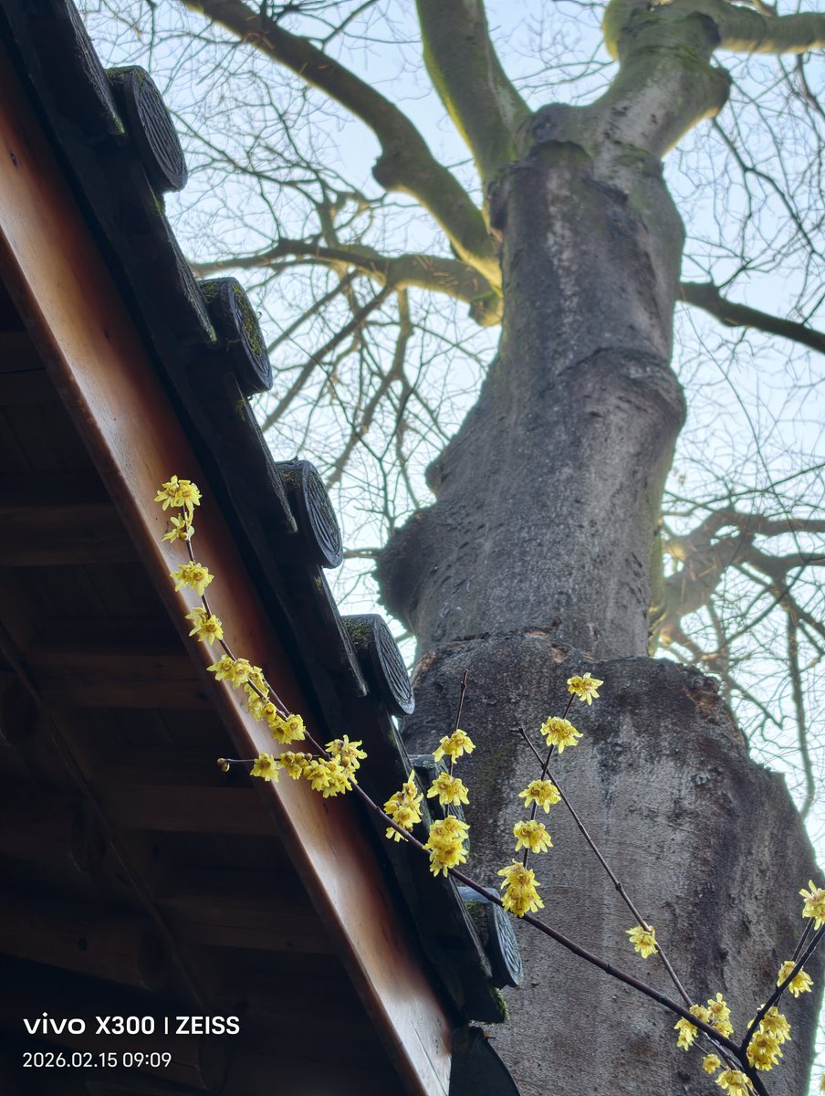 lilylight2015's tweet photo. 上天竺 https://t.co/JdwjNmiCC6