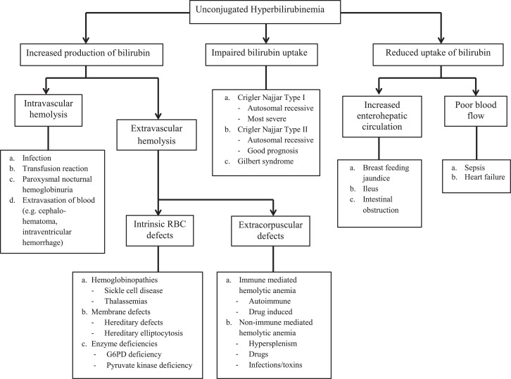 Dr sthanu subramanian tweet media