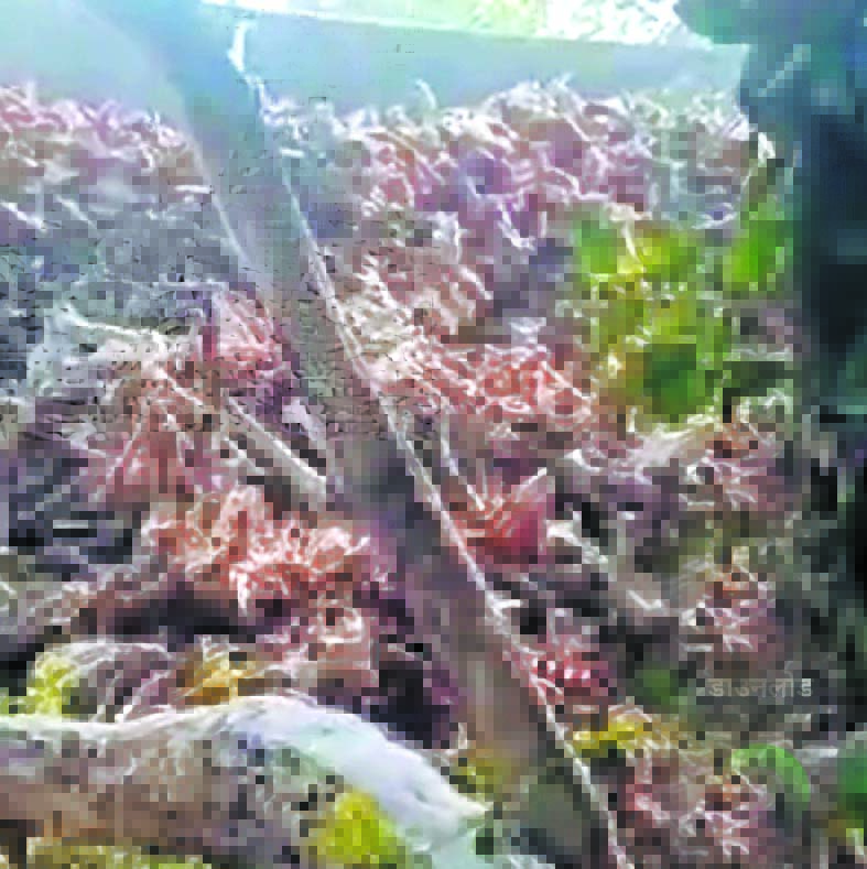 सतना के सोहावल में हाईकोर्ट के आदेश की अवहेलना कर रात में चल रही हड्डी फैक्ट्री, दुर्गंध और बीमारियों से जनता परेशान।
और जानें: starsamachar.com/satna-sohawal-…

#SatnaNews #HighCourtOrder #IllegalFactory #PollutionCrisis #EnvironmentalHazard #MPNews #PublicHealth #CivicIssues