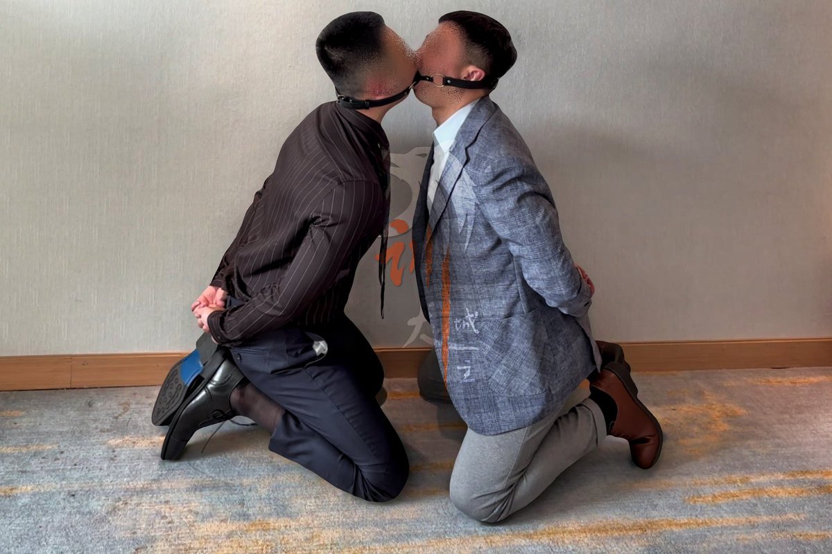 训犬城主1S tweet media