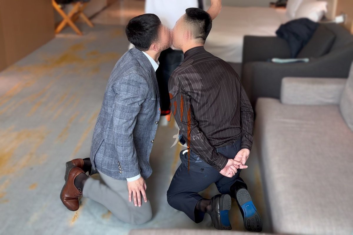 训犬城主1S tweet media