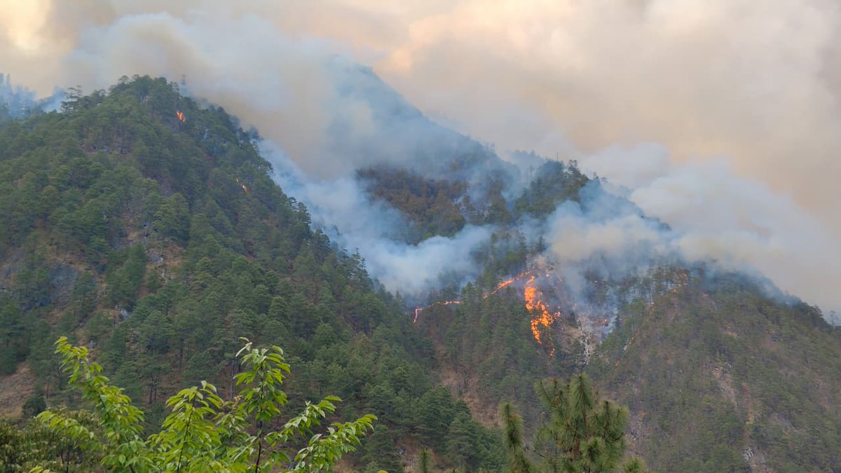 Spearcorps's tweet photo. 𝗚𝘂𝗮𝗿𝗱𝗶𝗮𝗻𝘀 𝗶𝗻 𝗔𝗰𝘁𝗶𝗼𝗻
#SpearCorps troops of the #IndianArmy along with the #IndianAirForce and the civil administration, swiftly contained a massive forest fire at #Walong, #ArunachalPradesh on 13 Feb 2026. Sustained Joint efforts over 48 hours in challenging terrain ensured that there was no loss of life or property.
#SpearCorps के अंतर्गत #IndianArmy, #IndianAirForce और Civil Administration ने 13 Feb 2026 को Walong, #ArunachalPradesh में लगी Massive Forest Fire को चुनौतीपूर्ण भूभाग में 48 घंटों के संयुक्त प्रयासों से नियंत्रित किया। इस अभियान में किसी भी प्रकार की जन-धन हानि नहीं होने दी गई।
#IndianArmy #IndianAirForce #SpearCorps #ArunachalPradesh #Walong #ForestFire #JointOperations #HumanitarianAid #NationFirst #OperationSadbhavana
@adgpi
@SpokespersonMoD
@HQ_IDS_India
@easterncomd
@official_dgar
@prodefkohima
@KirenRijiju
@DefenceMinIndia
@PIB_India
@SpokespersonMoD
@MyGovArunachal
@ArunachalCMO
@NELiveTV
@prodefgau
@MIB_India
@PemaKhanduBJP
Facebook-https://t.co/Hw8ZJiD6nY
Instagram-https://t.co/rSYUoOUdsO
YouTube-https://t.co/1AFZ1RDrLX