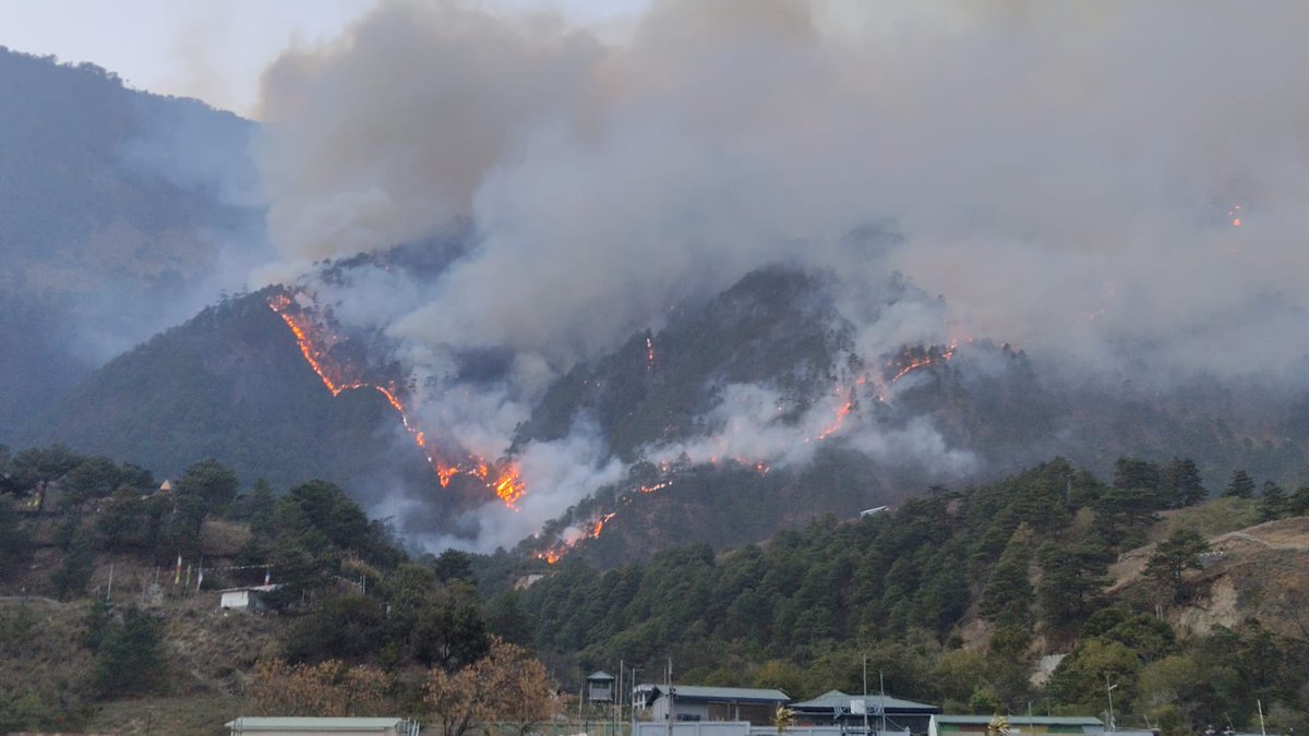 Spearcorps's tweet photo. 𝗚𝘂𝗮𝗿𝗱𝗶𝗮𝗻𝘀 𝗶𝗻 𝗔𝗰𝘁𝗶𝗼𝗻
#SpearCorps troops of the #IndianArmy along with the #IndianAirForce and the civil administration, swiftly contained a massive forest fire at #Walong, #ArunachalPradesh on 13 Feb 2026. Sustained Joint efforts over 48 hours in challenging terrain ensured that there was no loss of life or property.
#SpearCorps के अंतर्गत #IndianArmy, #IndianAirForce और Civil Administration ने 13 Feb 2026 को Walong, #ArunachalPradesh में लगी Massive Forest Fire को चुनौतीपूर्ण भूभाग में 48 घंटों के संयुक्त प्रयासों से नियंत्रित किया। इस अभियान में किसी भी प्रकार की जन-धन हानि नहीं होने दी गई।
#IndianArmy #IndianAirForce #SpearCorps #ArunachalPradesh #Walong #ForestFire #JointOperations #HumanitarianAid #NationFirst #OperationSadbhavana
@adgpi
@SpokespersonMoD
@HQ_IDS_India
@easterncomd
@official_dgar
@prodefkohima
@KirenRijiju
@DefenceMinIndia
@PIB_India
@SpokespersonMoD
@MyGovArunachal
@ArunachalCMO
@NELiveTV
@prodefgau
@MIB_India
@PemaKhanduBJP
Facebook-https://t.co/Hw8ZJiD6nY
Instagram-https://t.co/rSYUoOUdsO
YouTube-https://t.co/1AFZ1RDrLX
