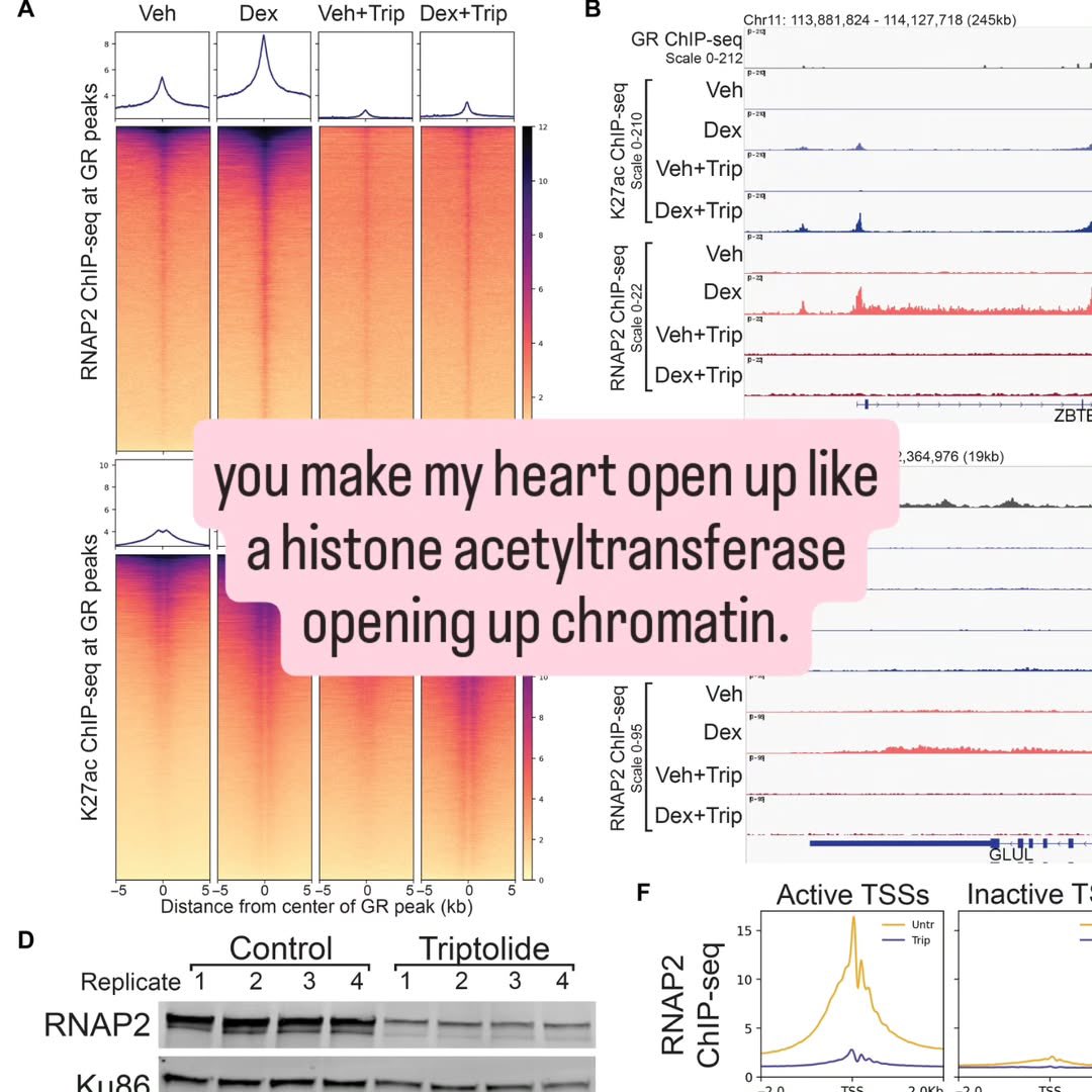 happy valentine's labrats ❤️