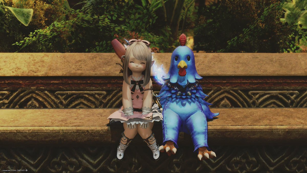 _miiFF14's tweet photo. 隣にいておくれ🐔🥺

#FF14SS  #FF14 #おはララ　? https://t.co/z7pr2SByoZ