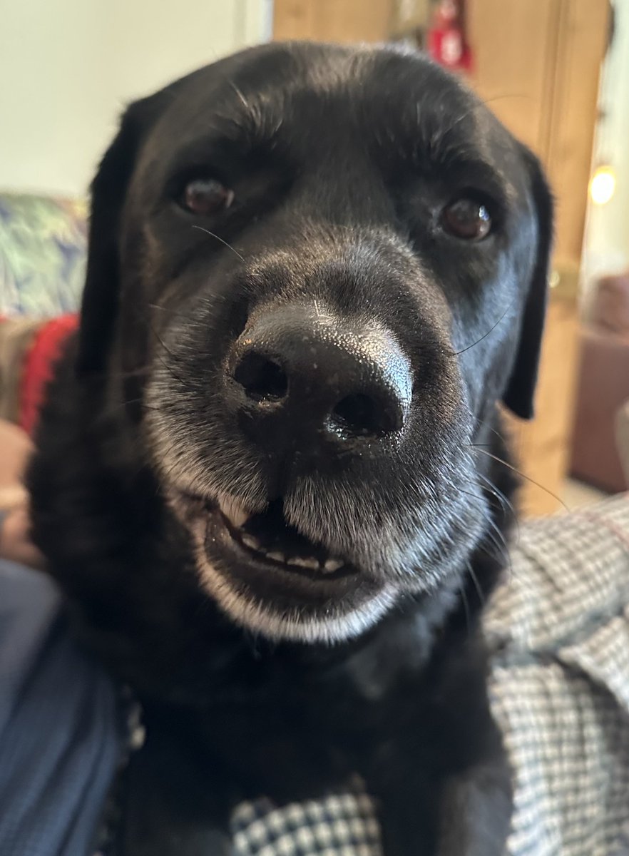 John Donoghue tweet media