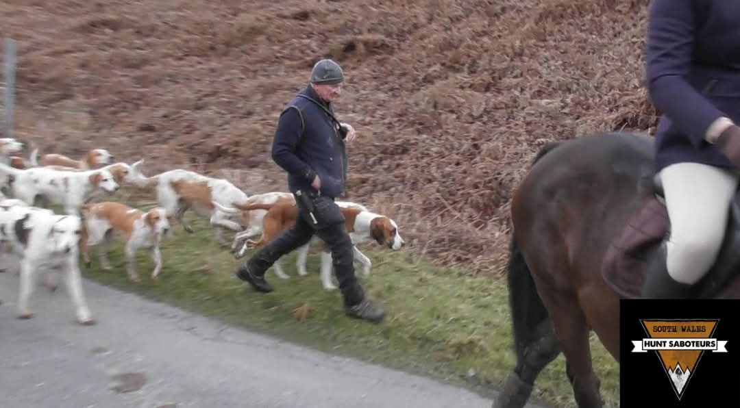 SWalesHuntSabs's tweet photo. Golden Valley Fox Hunt - possibly
14.02.26

Erwood, Powys

Funny old day.  None of the hunters seemed to know which hunt they were.  Our current best guess is Golden Valley – possibly a joint meet...

Full report here: https://t.co/DbayUHnf9M https://t.co/O51e4tjZRt