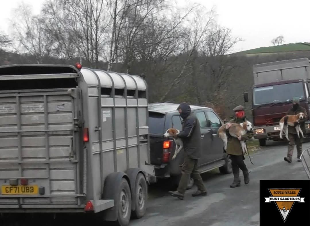SWalesHuntSabs's tweet photo. Golden Valley Fox Hunt - possibly
14.02.26

Erwood, Powys

Funny old day.  None of the hunters seemed to know which hunt they were.  Our current best guess is Golden Valley – possibly a joint meet...

Full report here: https://t.co/DbayUHnf9M https://t.co/O51e4tjZRt