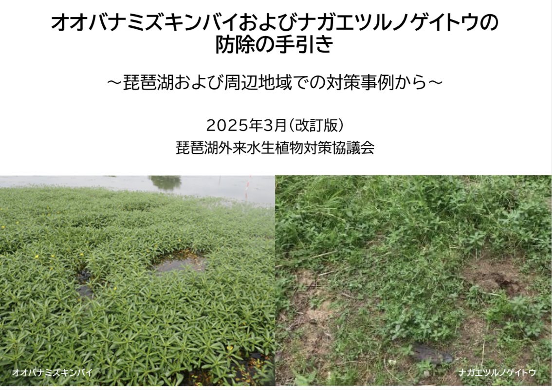 ryuiki_net's tweet photo. 琵琶湖外来水生植物対策協議会から
オオバナミズキンバイとナガエツルノゲイトウの防除について詳しく説明されています
#特定外来生物

https://t.co/t3QKz1bRkZ https://t.co/eD2EADnkto