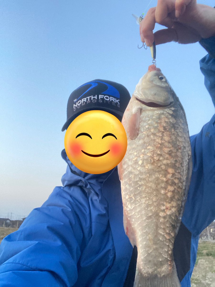dai_saku_oyaji's tweet photo. 今日のジャークベイト練習で釣れたのは、何と尺鮒😳
鮒釣りで狙ってもなかなか釣れないナイスサイズ👍
エリー95MDで真鮒の釣果報告って世界初!?
#霞探R #ニシネルアーワークス #ノースフォークコンポジット #C65ML+ #トアルソン #ワールドプレミアム https://t.co/GW9j6zG7IU