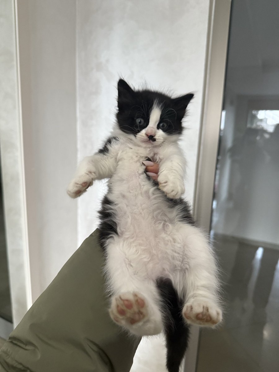 enazüçköpek tweet media