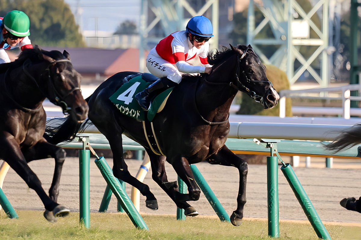 2026.02.15
東京11R GIII 共同通信杯

ディバインウインド×R.キング┊ 5着

おかえりなさい😭
8ヶ月の長期休養、骨折明け
よくがんばりました😭👏