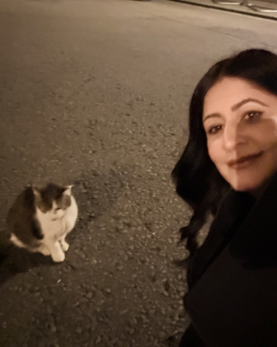 Dr Shabina Qayyum tweet media