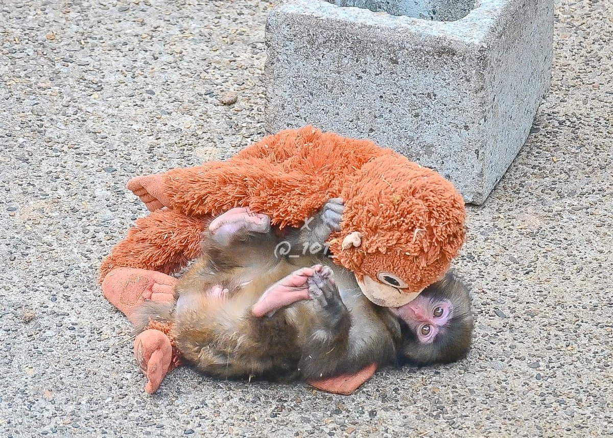 ママだぁいすき
#がんばれパンチ