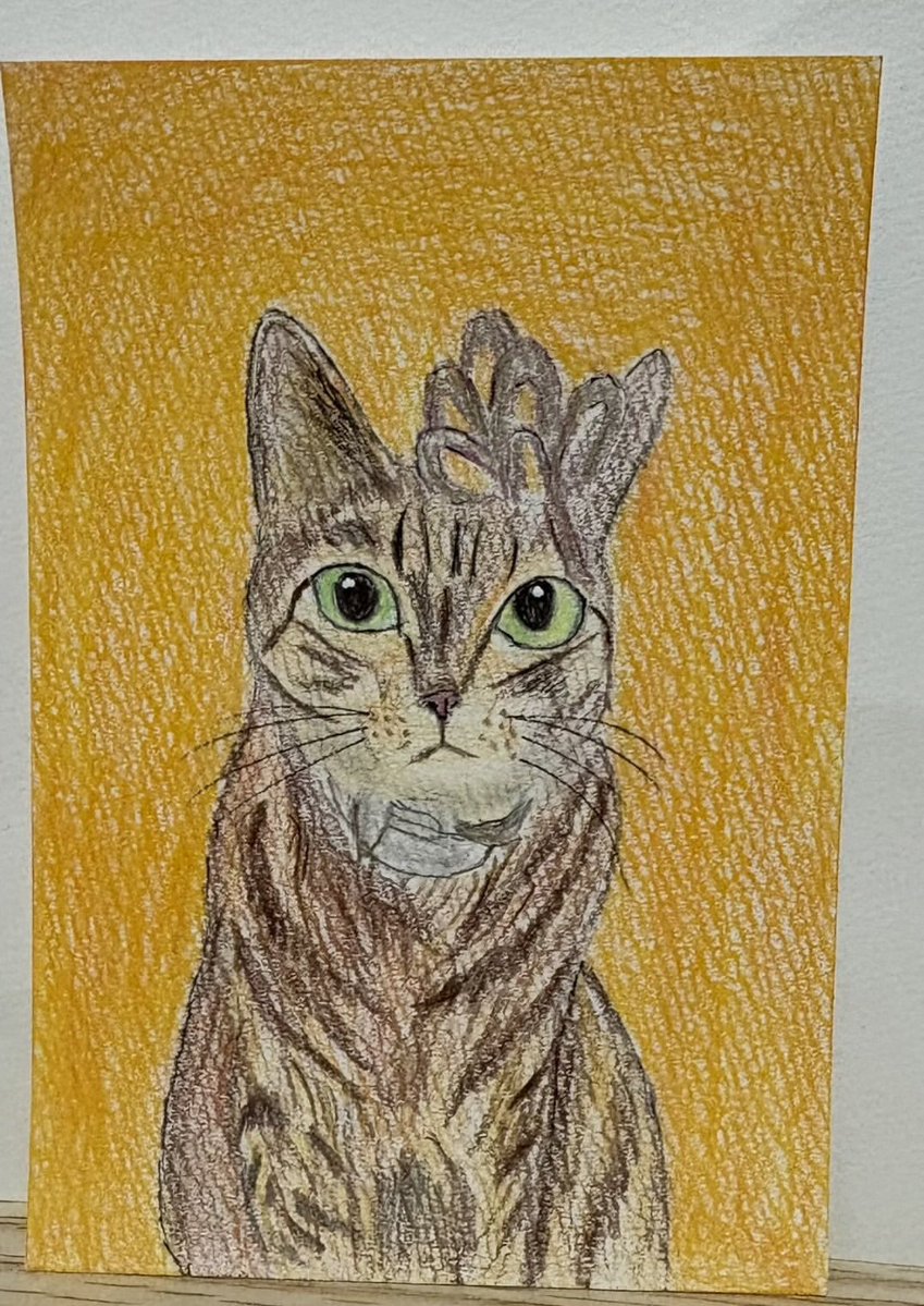 色鉛筆画　name:こたつ猫ちゃん　ハガキサイズ　原画