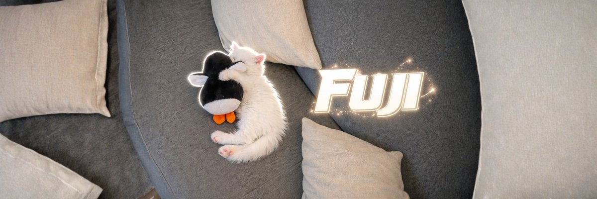 Fuji (@FujiSolana_) / Posts / X