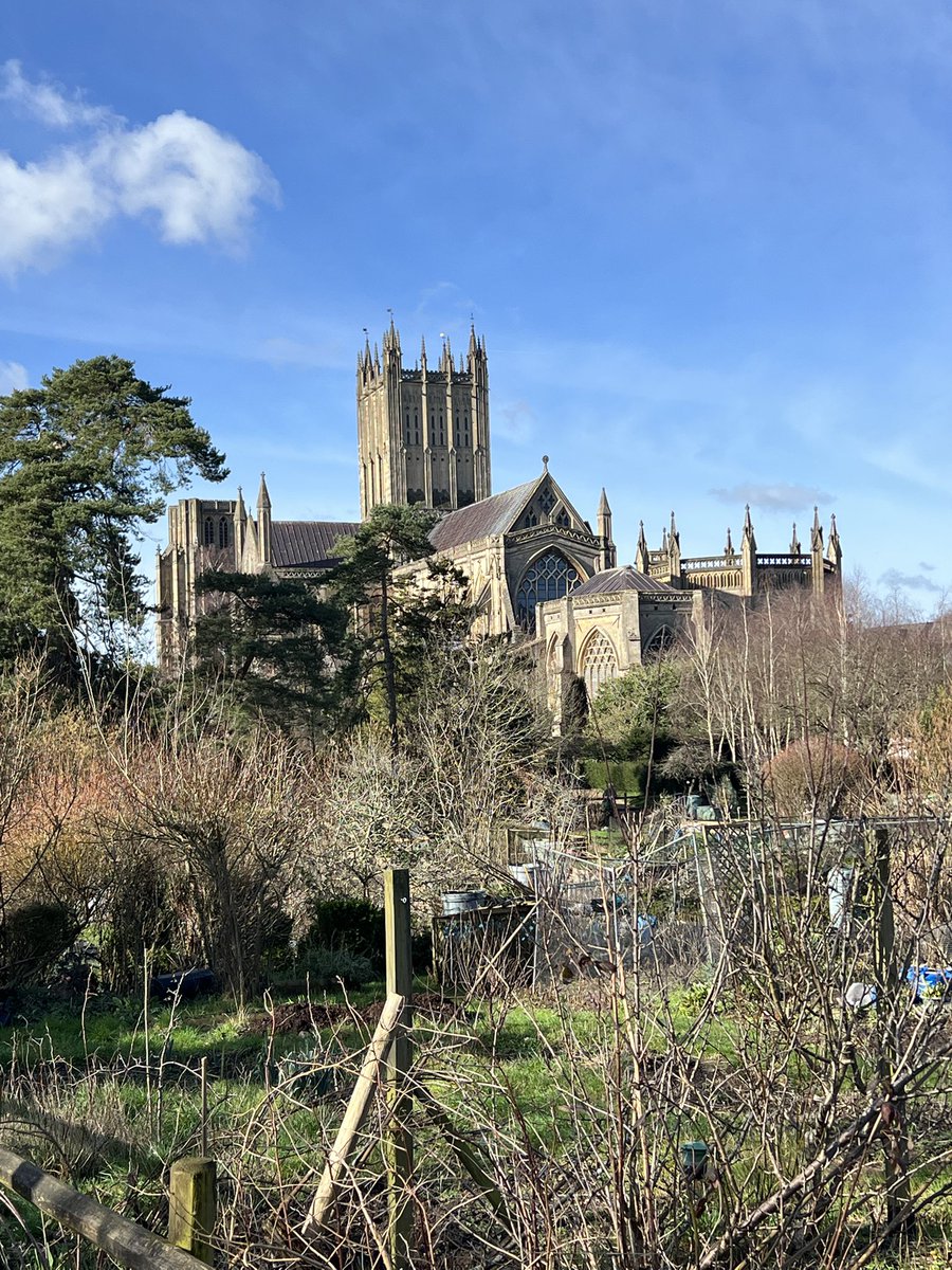 tandem bristol tweet media